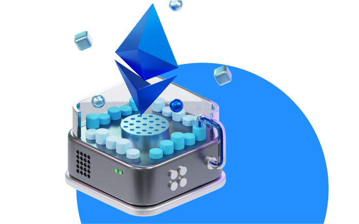 evm development